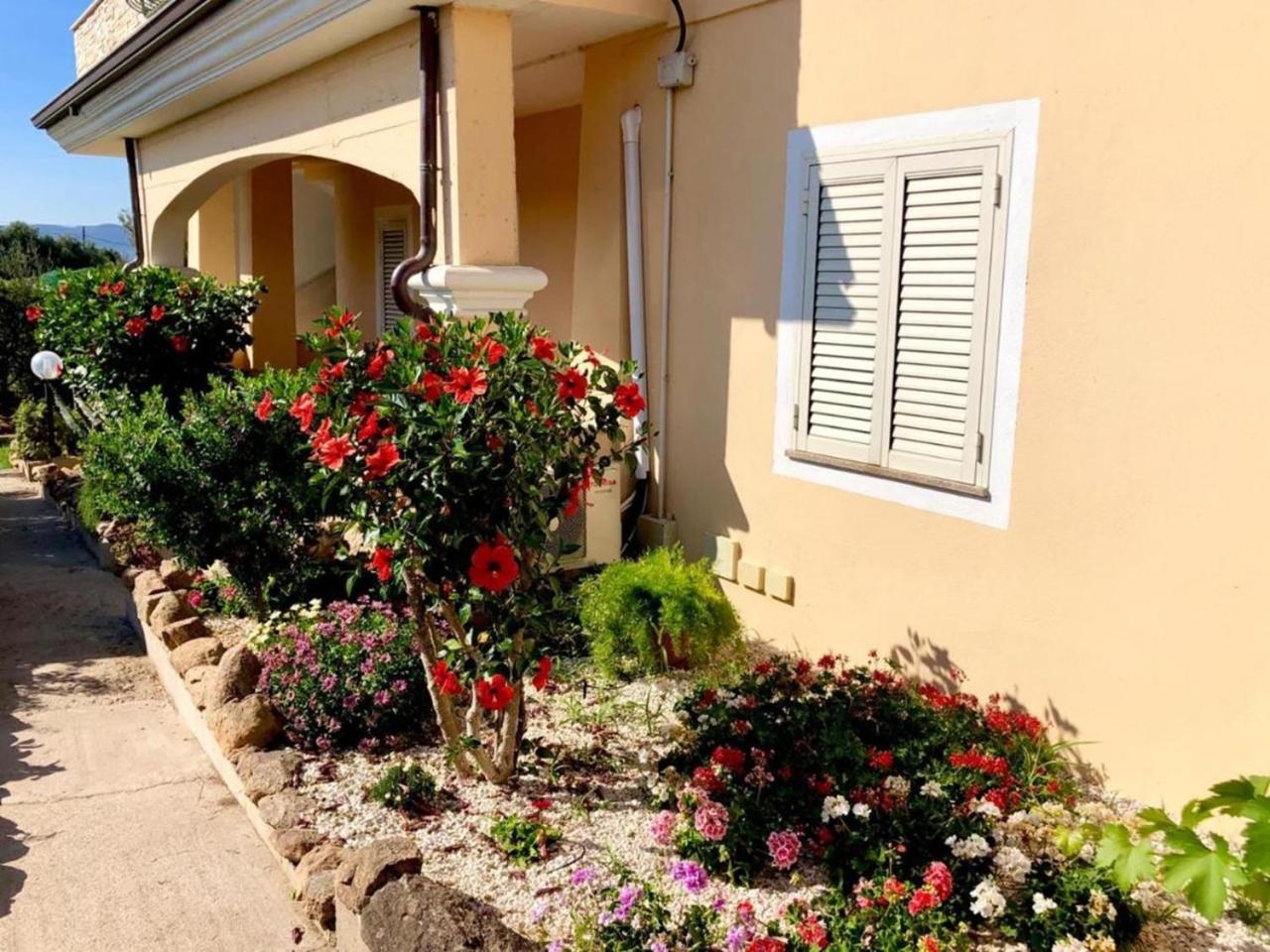 Casa Dolce Hibiscus Apartment ออลเบีย ภายนอก รูปภาพ